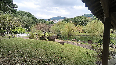 gx019071.mp4_snapshot_00.44_thumb.jpg