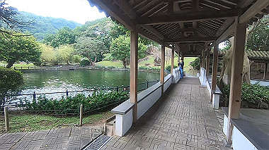 gx019072.mp4_snapshot_02.48_thumb.jpg