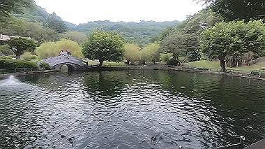 gx019072.mp4_snapshot_03.02_thumb.jpg
