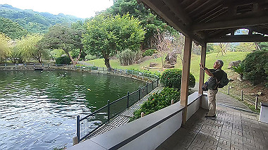gx019072.mp4_snapshot_03.11_thumb.jpg