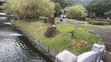 gx019072.mp4_snapshot_05.01_thumb.jpg