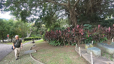 gx019073.mp4_snapshot_00.02_thumb.jpg