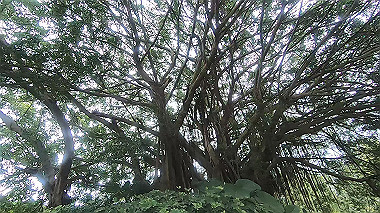 gx019073.mp4_snapshot_00.24_thumb.jpg