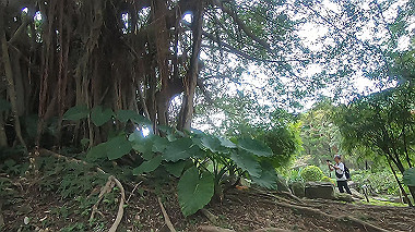 gx019073.mp4_snapshot_00.45_thumb.jpg