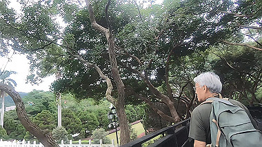 gx019090.mp4_snapshot_00.08_thumb.jpg
