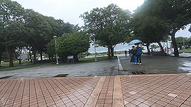 gx019097.mp4_snapshot_00.07_thumb.jpg