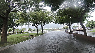 gx019097.mp4_snapshot_00.24_thumb.jpg