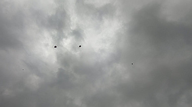 gx019109.mp4_snapshot_00.49_thumb.jpg