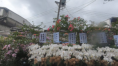 gx019112.mp4_snapshot_00.03_thumb.jpg