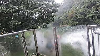 gx019120.mp4_snapshot_00.37_thumb.jpg