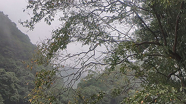 gx019121.mp4_snapshot_00.35_thumb.jpg