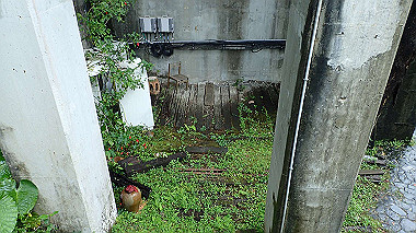 pa210473_thumb.jpg