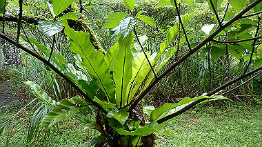 pa210486_thumb.jpg