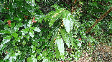 pa210487_thumb.jpg