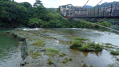 pa210490_thumb.jpg