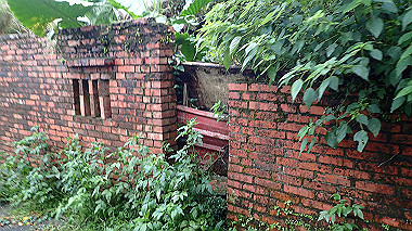 pa210520_thumb.jpg