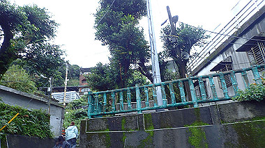 pa210521_thumb.jpg