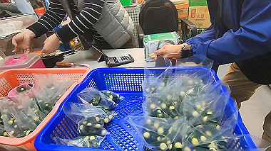 gx019187.mp4_snapshot_01.19_thumb.jpg