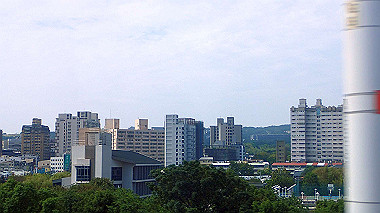 pa220601_thumb.jpg