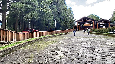 2023-10-23_12-16-29_00.35_x264.mp4_snap_thumb.jpg