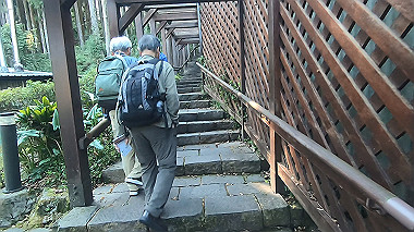 gx019198.mp4_snapshot_00.00_thumb.jpg