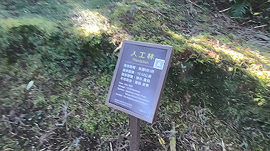 gx019211.mp4_snapshot_00.09_thumb.jpg