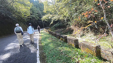 gx019218.mp4_snapshot_00.11_thumb.jpg