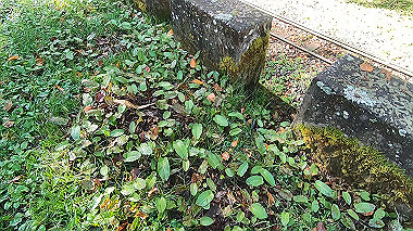 gx019218.mp4_snapshot_00.16_thumb.jpg