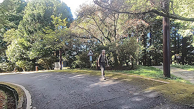 gx019226.mp4_snapshot_00.09_thumb.jpg
