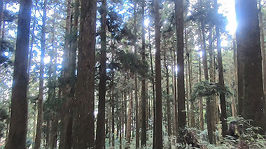 gx019233.mp4_snapshot_00.24_thumb.jpg