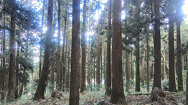 gx019233.mp4_snapshot_00.35_thumb.jpg