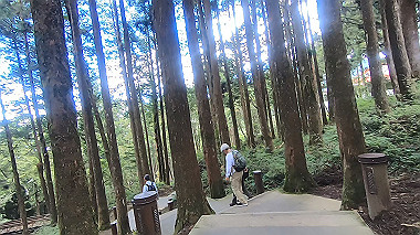 gx019234.mp4_snapshot_06.08_thumb.jpg