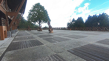 gx019239.mp4_snapshot_00.00_thumb.jpg