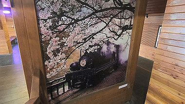gx019239.mp4_snapshot_00.22_thumb.jpg
