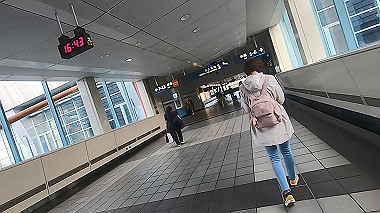 gx019245.mp4_snapshot_00.20_thumb.jpg