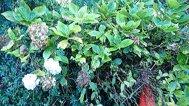 pa230618_thumb.jpg