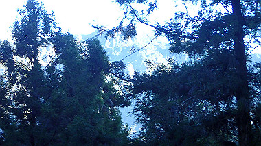 pa230621_thumb.jpg