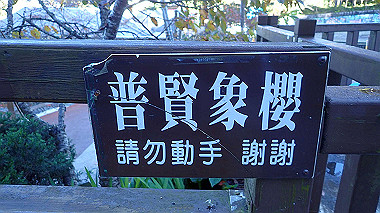 pa230665_thumb.jpg