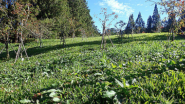 pa230687_thumb.jpg