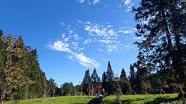pa230688_thumb.jpg