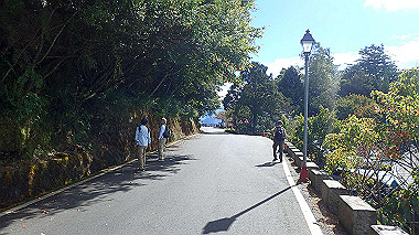 pa230734_thumb.jpg