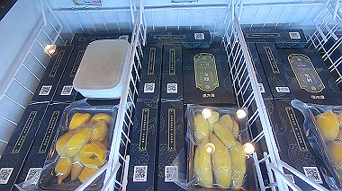 gx019284.mp4_snapshot_00.24_thumb.jpg