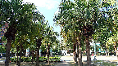 pa240822_thumb.jpg