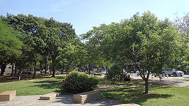 pa240877_thumb.jpg
