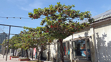 pa240889_thumb.jpg