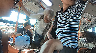 gx019325.mp4_snapshot_04.42_thumb.jpg