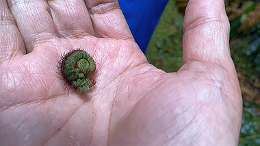 2023-11-23_05-58-22_544_thumb.jpg