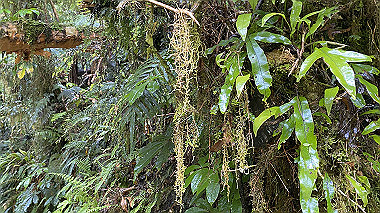 2023-11-23_06-03-40_425_thumb.jpg