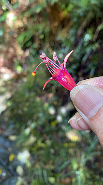 2023-11-23_06-25-49_148_thumb.jpg