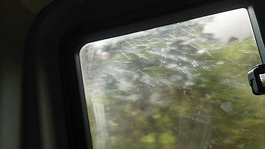 20231123_074737_thumb.jpg